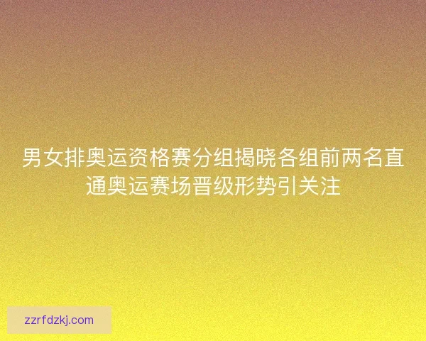 男女排奥运资格赛分组揭晓各组前两名直通奥运赛场晋级形势引关注