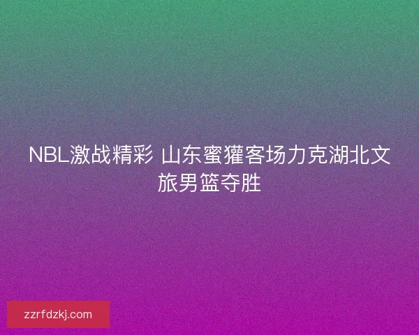 NBL激战精彩 山东蜜獾客场力克湖北文旅男篮夺胜